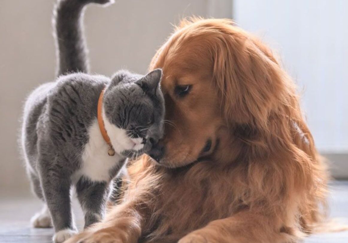 WhatsApp Image 2025-01-15 at 1.18.32 PM