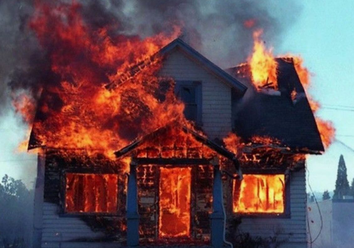 WhatsApp Image 2025-01-15 at 1.27.52 PM